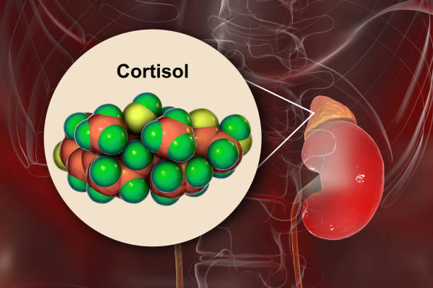 Hormone cortisol có liên quan đến nguy cơ gây rối loạn cảm xúc