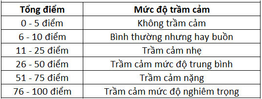 Bảng đo mức độ trầm cảm của Burns 2