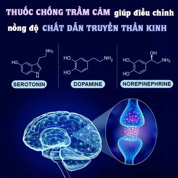 Thuốc chống trầm cảm: 5 loại phổ biến, cơ chế hoạt động và tác dụng phụ