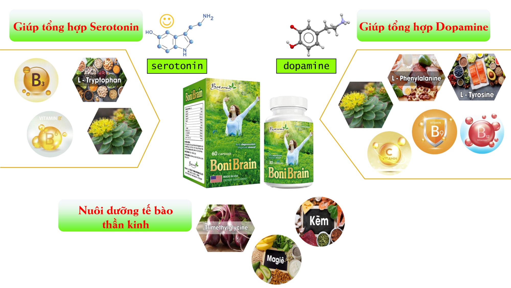 BoniBrain thành phần hoàn toàn từ thiên nhiên nên rất an toàn