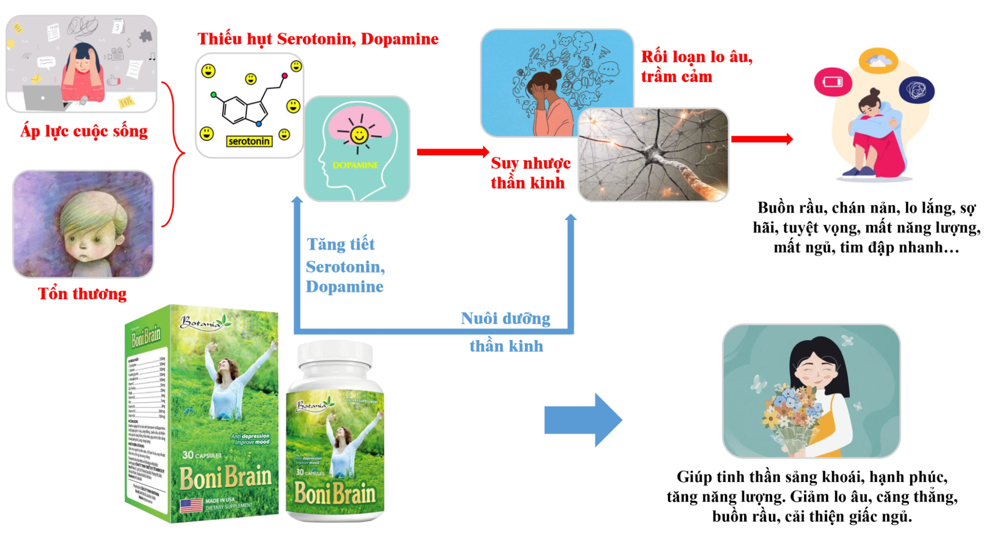 Tác dụng của sản phẩm BoniBrain