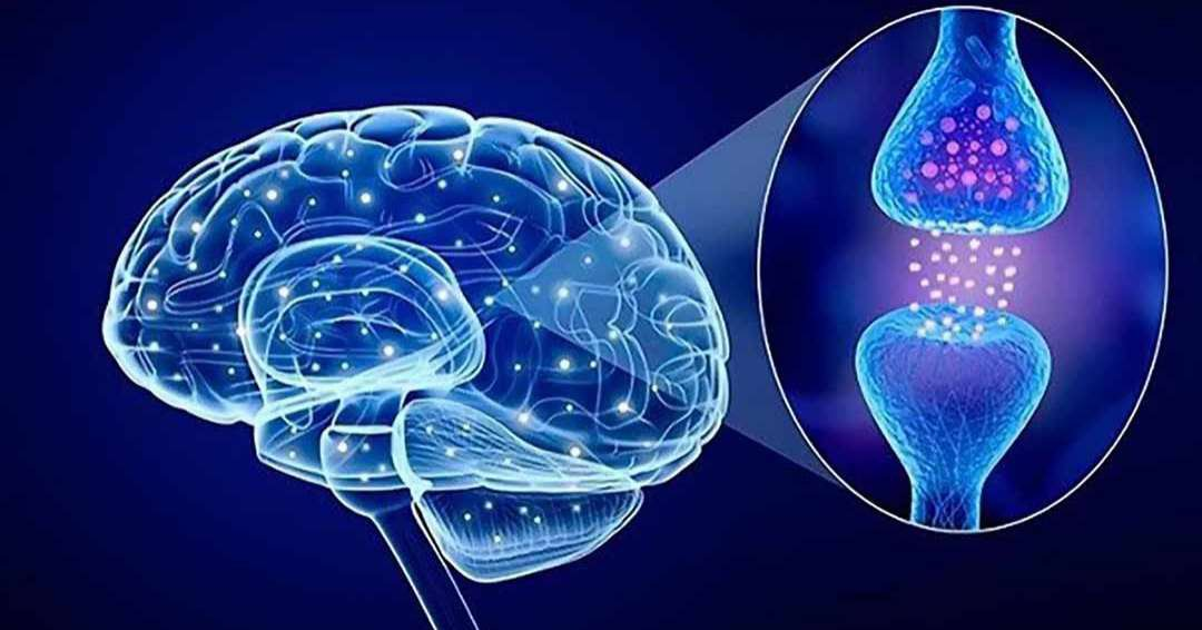 Cẩn trọng hội chứng serotonin khi sử dụng thuốc chống trầm cảm